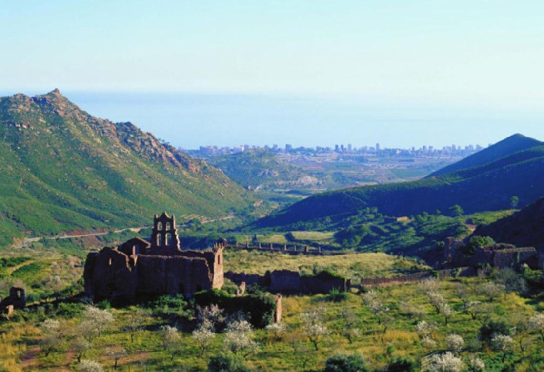 Nuevo En Calle Useras Castellón de la Plana Buitenkant foto