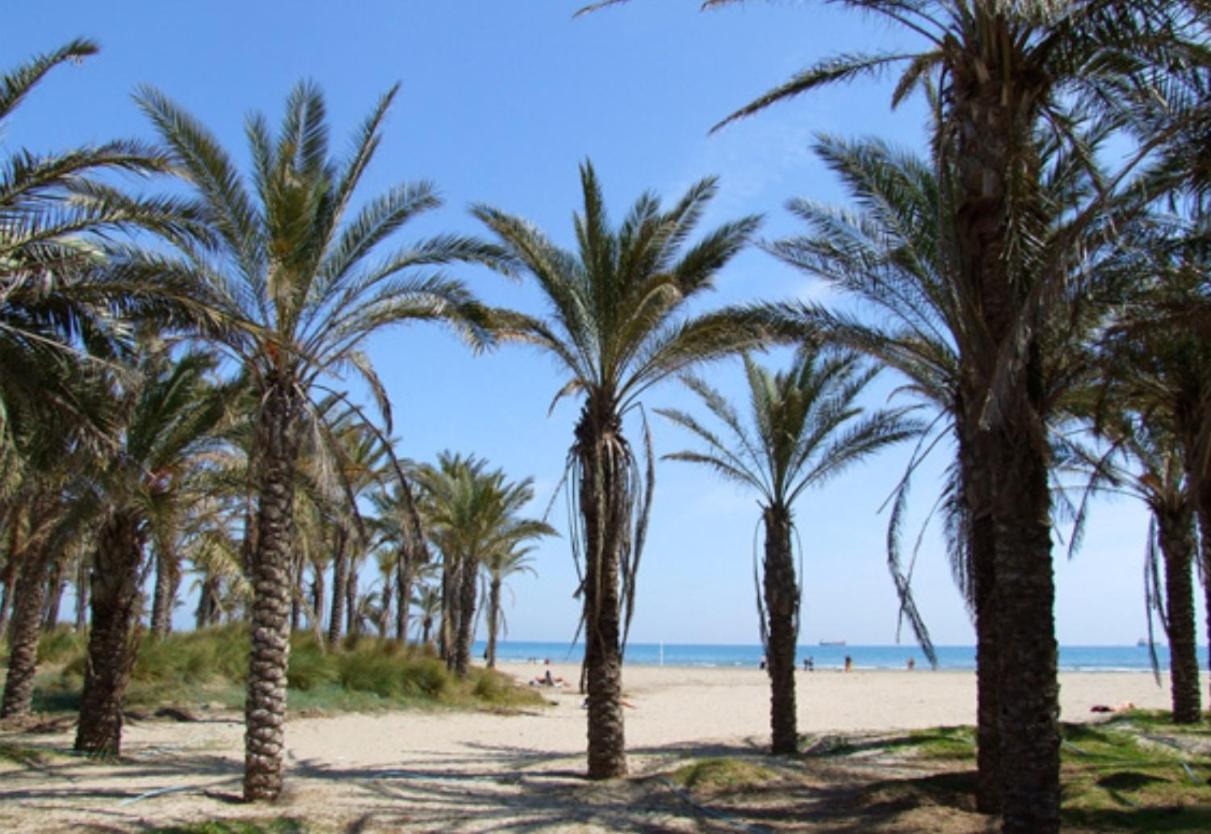 Nuevo En Calle Useras Castellón de la Plana Buitenkant foto